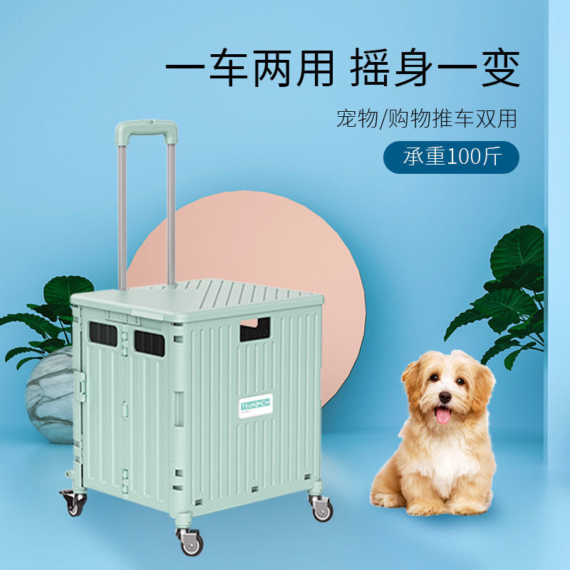 潮宠出行新风尚 八轮中号45L晨曦绿宠物轻便推车体验