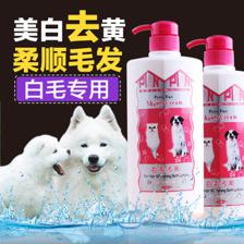 魔幻贝贝宠物用品店11月狂欢 引领品质宠物生活新体验