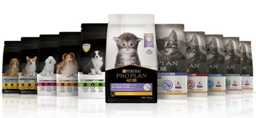 科学选粮指南 从冠能热潮看如何为爱宠挑选生活用品