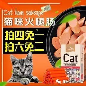 7月27日 精选宠物生活用品优惠券，为爱宠打造舒适生活