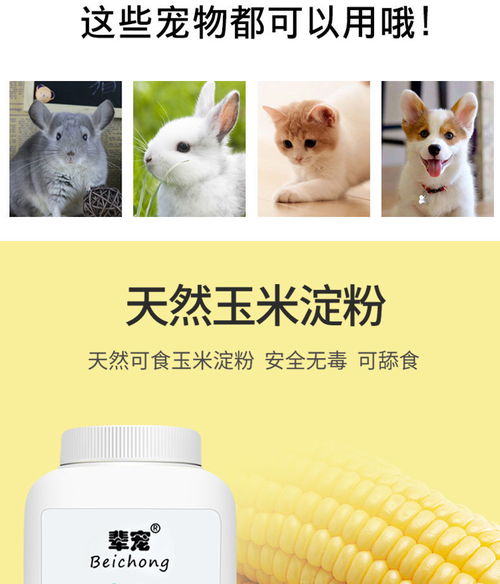 宠物干洗新时代 泡沫与干粉的便捷护理指南